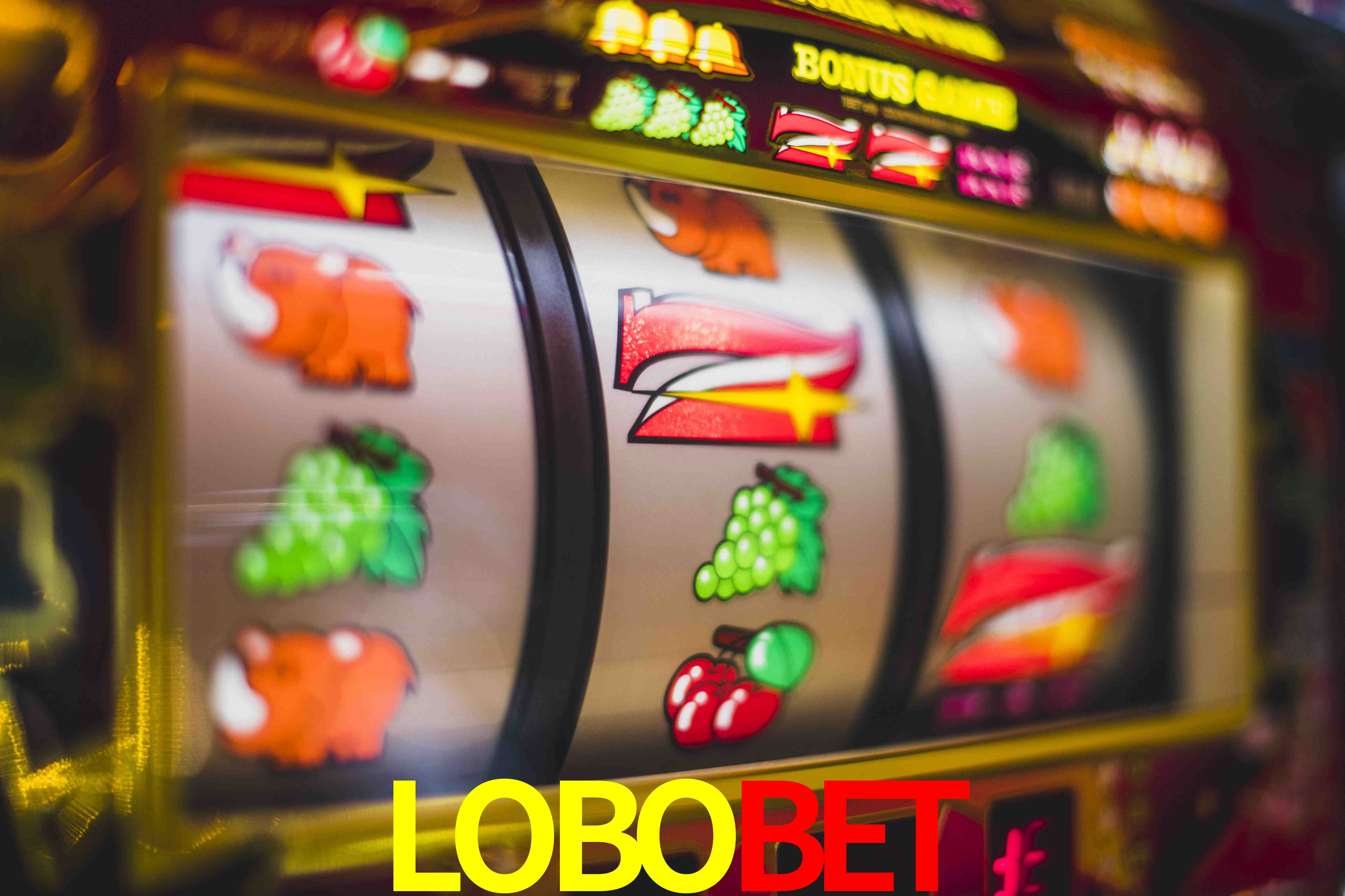 Statistics LOBOBET