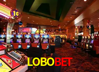 LOBOBET Salvador - Studio Tour