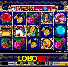 LOBOBET Belo Horizonte - Reivindique Bonus