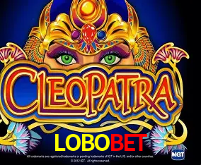 LOBOBET Curitiba - Live Status